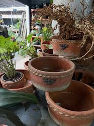 Free Mud Plant Pots (Terracotta)